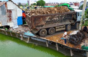OMG!!! INCREDIBLE LAND FILL TASK USE HEAVY MACHINERY DUMP TRUCK 25TON & BULLDOZER FILL MASSIVE DITCH!