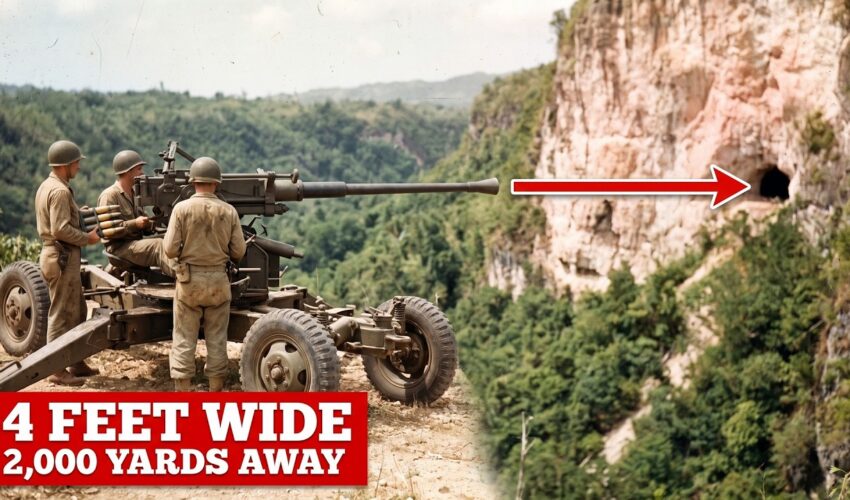 The American Trick That Let a 40mm Anti Aircraft Gun Stop a Banzai Charge at 100 Yards