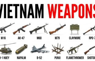 The Weapons of the Vietnam War: What Really Worked in the Jungle